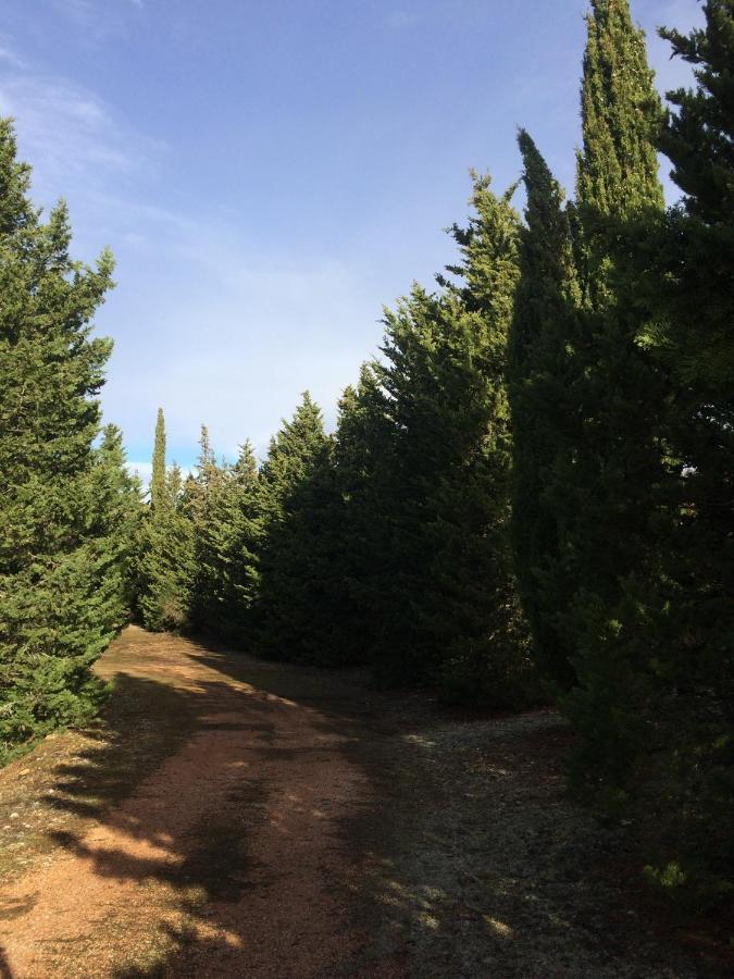 Podere Ceppeti 13 Gabellino Esterno foto