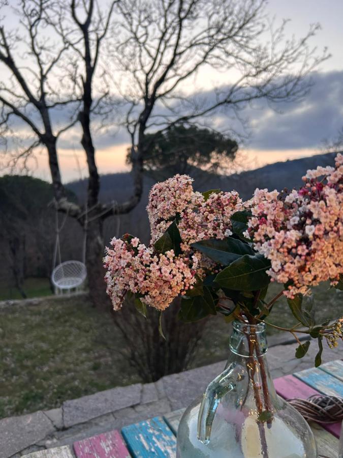 Podere Ceppeti 13 Gabellino Esterno foto