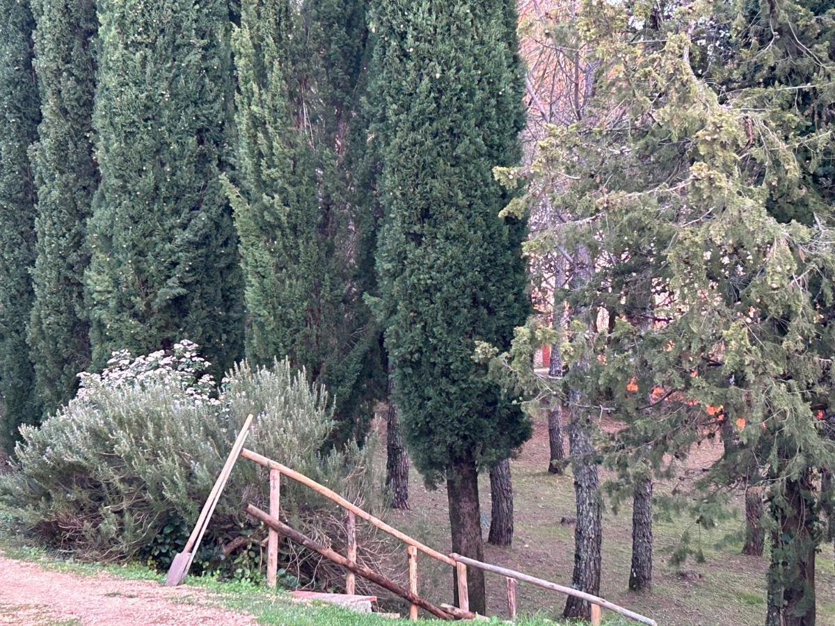 Podere Ceppeti 13 Gabellino Esterno foto